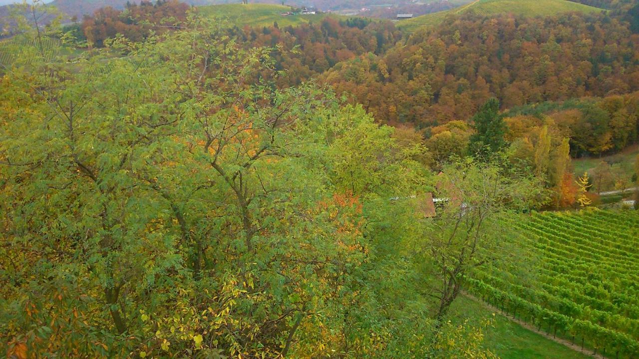 Apartmenthaus Styria Bad Gleichenberg Εξωτερικό φωτογραφία